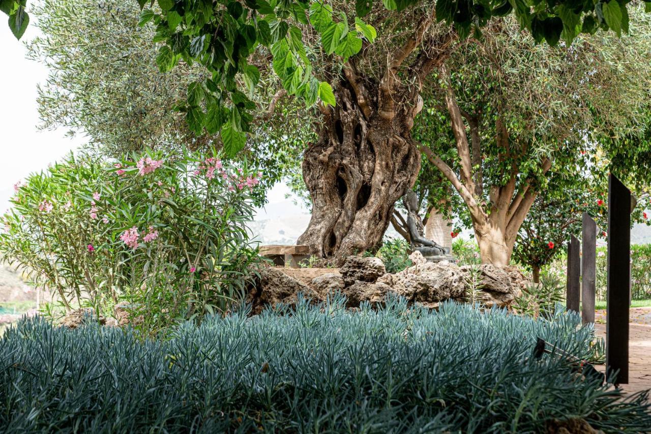 Finca Las Hierbas B&B Alora Eksteriør bilde