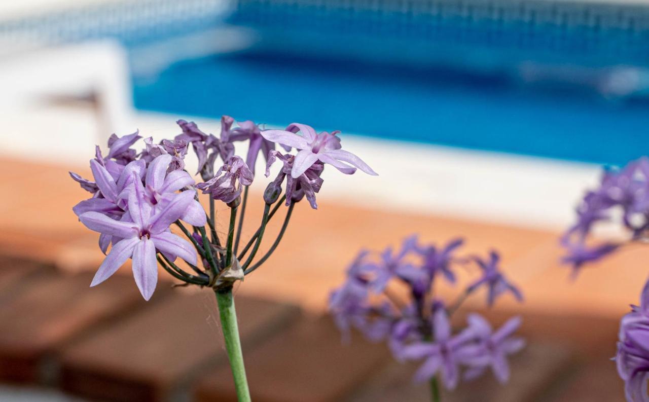 Finca Las Hierbas B&B Alora Eksteriør bilde