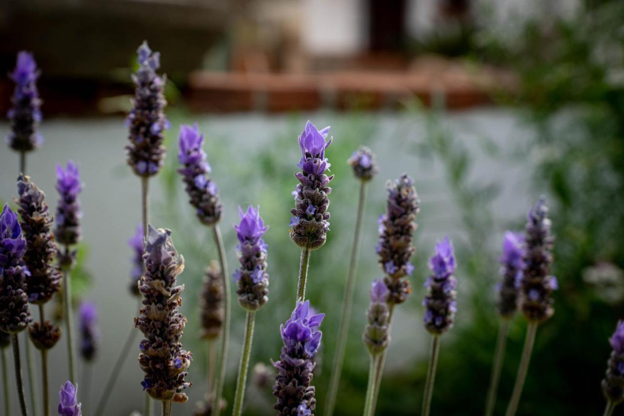 Finca Las Hierbas B&B Alora Eksteriør bilde